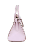 HERMES Birkin 25 Epsom Mauve Pale Palladium Hardware - WATCHXNYC