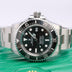 2025 Rolex Deepsea Oyster Date 44mm 136660