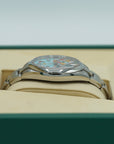 Rolex Oyster Perpetual 41 mm Celebration Dial Oystersteel Oyster Bracelet 124300-0008 - WATCHXNYC