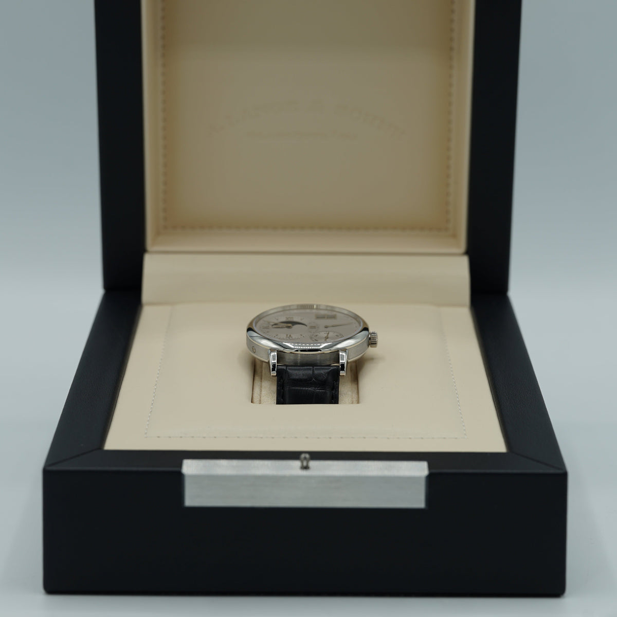 A. Lange & Sohne GRAND LANGE 1 MOON PHASE 41 mm Silver Dial Platinum   Leather Strap 139.025 / LSLS1392AA - WATCHXNYC
