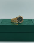Rolex Day-Date 40 mm Green Ombré Dial 18k Yellow Gold President Bracelet 228238-0069 - WATCHXNYC