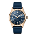IWC Pilot's Watch Mark XX Le Petit Prince Blue Dial 18K 5N Gold Blue Rubber Strap 40 mm IW328301