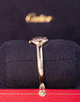 Cartier Baignoire Mini 24.6 mm x 18.7 mm Silver Dial 18k Yellow Gold Bracelet WGBA0044 - WATCHXNYC