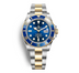 Rolex Submariner Blusey Date 41MM Gold/Steel Oyster 126613lb