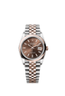 Rolex Datejust 36mm Chocolate Dial Oystersteel & Everose Gold m126201-0043