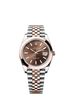 Rolex Datejust 41mm Chocolate Dial Oystersteel & Everose Gold m126301-0002