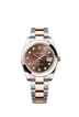 Rolex Datejust 41mm Chocolate Diamond Dial Oystersteel & Everose Gold m126301-0003