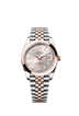 Rolex Datejust 41mm Sundust Dial Oystersteel & Everose Gold m126301-0010