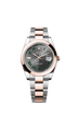 Rolex Datejust 41mm Slate Dial Oystersteel & Everose Gold m126301-0015