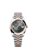 Rolex Datejust 41mm Slate Dial Oystersteel & Everose Gold m126301-0016