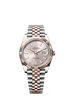 Rolex Datejust 41mm Sundust Dial Oystersteel & Everose Gold m126331-0010