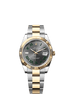 Rolex Datejust 41 mm Wimbledon Slate Dial Oystersteel & Yellow Gold 126333-0019