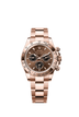 Rolex Cosmograph Daytona 40mm Chocolate and Black Dial Everose Gold 126505
