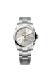 Rolex Oyster Perpetual 41mm Silver Dial Oystersteel 134300