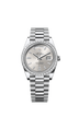Rolex Day-Date 40mm Silver Diamonds Dial Platinum 228396tbr-0011