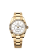 Rolex Sky-Dweller 42mm Intense White Dial Yellow Gold 336938