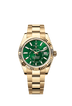 Rolex Sky-Dweller 42mm Bright Green Dial Yellow Gold 336938