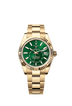 Rolex Sky-Dweller 42mm Bright Green Dial Yellow Gold 336938