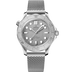 Omega Seamaster Diver 300M Grey dial Steel strap 42mm 210.30.42.20.06.002