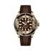 Breitling Superocean Automatic 44 mm Brown Dial Bronze Rubber Brown Strap N17376201Q1S1