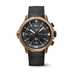 IWC Schaffhausen Aquatimer Chronograph Edition “Expedition Charles Darwin” 44 mm Black Dial Bronze Black Rubber Strap IW379503