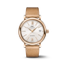 IWC Schaffhausen Portofino Automatic 37 mm Silver  Dial 18 Kt 5N Gold Case Beige   Strap  IW458606