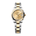 Rolex Datejust 31 mm Champagne-Colour Set With Diamonds Dial Oystersteel and 18k Yellow Gold Oyster Bracelet 278343rbr-0025