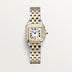 Cartier Panthère Small 23 mm x 30 mm Silver Dial 18k Yellow Gold Bracelet W2PN0018
