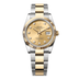 Rolex Datejust 36 mm Champagne-Colour Set With Diamonds Dial Oystersteel and 18k Yellow Gold Oyster Bracelet 126233-0018