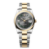 Rolex Datejust 36 mm Slate Dial Oystersteel and 18k Yellow Gold Oyster Bracelet 126203-0036