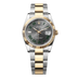 Rolex Datejust 36 mm Gray Wimbledon Dial Oystersteel and 18k Yellow Gold Oyster Bracelet 126233-0036