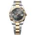 Rolex Datejust 41 mm Slate Dial Oystersteel and 18k Yellow Gold Oyster Bracelet 126333-0019