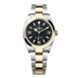Rolex Explorer 36 mm Black Dial Oystersteel And Yellow Gold Oyster Bracelet 124273-0001