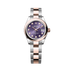 Rolex Lady-Datejust 28 mm Aubergine Set With Diamonds Dial Oystersteel and Everose Gold Oyster Bracelet 279161-0016